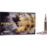 Federal-Premium-P300WSMTA1-604544659412.jpg